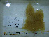  ( - DY081_0861)  @11 [ ] CreativeCommons - Attribution Share-Alike (2025) Unspecified Huntsman Marine Science Centre