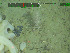  ( - DY081_0838)  @11 [ ] CreativeCommons - Attribution Share-Alike (2025) Unspecified Huntsman Marine Science Centre