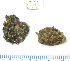  ( - ARC81464)  @11 [ ] Unspecified (default): All Rights Reserved  Fisheries and Oceans Canada Unspecified