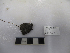  ( - ARC81520)  @11 [ ] Unspecified (default): All Rights Reserved  Fisheries and Oceans Canada Unspecified