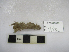 ( - ARC81521)  @11 [ ] Unspecified (default): All Rights Reserved  Fisheries and Oceans Canada Unspecified