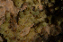  ( - ARC82026)  @11 [ ] Unspecified (default): All Rights Reserved  Huntsman Marine Science Centre Unspecified