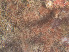  ( - GM2024_29)  @11 [ ] CreativeCommons - Attribution Share-Alike (2025) Unspecified Huntsman Marine Science Centre