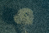  ( - HMSC174-01428)  @11 [ ] CreativeCommons - Attribution Share-Alike (2024) Unspecified Huntsman Marine Science Centre