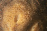  ( - ARC81684)  @11 [ ] Unspecified (default): All Rights Reserved  Huntsman Marine Science Centre Unspecified