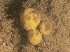 ( - ARC81689)  @11 [ ] Unspecified (default): All Rights Reserved  Huntsman Marine Science Centre Unspecified
