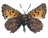  ( - ATLEP-AP356)  @11 [ ] by-nc-sa (2020) Jeremy Dobson Unspecified