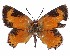  ( - ATLEP-AP423)  @11 [ ] by-nc-sa (2020) Jeremy Dobson Unspecified