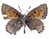  ( - ATLEP-AP423)  @11 [ ] by-nc-sa (2020) Jeremy Dobson Unspecified