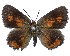  ( - ATLEP-AP465)  @11 [ ] by-nc-sa (2020) Jeremy Dobson Unspecified