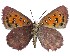  ( - ATLEP-AP465)  @11 [ ] by-nc-sa (2020) Jeremy Dobson Unspecified