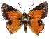  ( - ATLEP-AP466)  @11 [ ] by-nc-sa (2020) Jeremy Dobson Unspecified