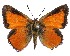  ( - ATLEP-AP472)  @11 [ ] by-nc-sa (2020) Jeremy Dobson Unspecified