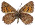  ( - ATLEP-AP548)  @11 [ ] by-nc-sa (2020) Jeremy Dobson Unspecified