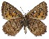  ( - ATLEP-AP549)  @11 [ ] by-nc-sa (2020) Jeremy Dobson Unspecified