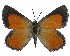  ( - ATLEP-AP601)  @11 [ ] by-nc-sa (2020) Jeremy Dobson Unspecified