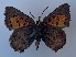  ( - JD-11313SA)  @11 [ ] CreativeCommons - Attribution Non-Commercial Share-Alike (2019) Jeremy Dobson Unspecified