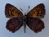  ( - JD-12018SA)  @11 [ ] CreativeCommons - Attribution Non-Commercial Share-Alike (2019) Jeremy Dobson Unspecified