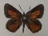  ( - JD-12475SA)  @11 [ ] CreativeCommons - Attribution Non-Commercial Share-Alike (2019) Jeremy Dobson Unspecified