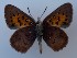  ( - JD-12475SA)  @11 [ ] CreativeCommons - Attribution Non-Commercial Share-Alike (2019) Jeremy Dobson Unspecified
