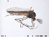  ( - ATNA117)  @13 [ ] CreativeCommons - Attribution Non-Commercial Share-Alike (2013) NTNU Museum of Natural History and Archaeology NTNU Museum of Natural History and Archaeology