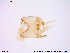  ( - ATNA121)  @12 [ ] CreativeCommons - Attribution Non-Commercial Share-Alike (2013) NTNU Museum of Natural History and Archaeology NTNU Museum of Natural History and Archaeology