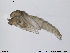  ( - ATNA139)  @13 [ ] CreativeCommons - Attribution Non-Commercial Share-Alike (2013) NTNU Museum of Natural History and Archaeology NTNU Museum of Natural History and Archaeology