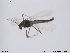  ( - ATNA345)  @12 [ ] CreativeCommons - Attribution Non-Commercial Share-Alike (2013) NTNU Museum of Natural History and Archaeology NTNU Museum of Natural History and Archaeology