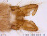  ( - ATNA365)  @12 [ ] CreativeCommons - Attribution Non-Commercial Share-Alike (2013) NTNU Museum of Natural History and Archaeology NTNU Museum of Natural History and Archaeology