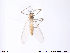  ( - ATNA411)  @12 [ ] CreativeCommons - Attribution Non-Commercial Share-Alike (2013) NTNU Museum of Natural History and Archaeology NTNU Museum of Natural History and Archaeology