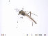  ( - ATNA436)  @12 [ ] CreativeCommons - Attribution Non-Commercial Share-Alike (2013) NTNU Museum of Natural History and Archaeology NTNU Museum of Natural History and Archaeology