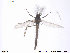 ( - ATNA455)  @12 [ ] CreativeCommons - Attribution Non-Commercial Share-Alike (2013) NTNU Museum of Natural History and Archaeology NTNU Museum of Natural History and Archaeology