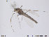  ( - ATNA459)  @13 [ ] CreativeCommons - Attribution Non-Commercial Share-Alike (2013) NTNU Museum of Natural History and Archaeology NTNU Museum of Natural History and Archaeology