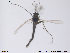  ( - ATNA461)  @12 [ ] CreativeCommons - Attribution Non-Commercial Share-Alike (2013) NTNU Museum of Natural History and Archaeology NTNU Museum of Natural History and Archaeology