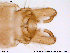  ( - ATNA471)  @12 [ ] CreativeCommons - Attribution Non-Commercial Share-Alike (2013) NTNU Museum of Natural History and Archaeology NTNU Museum of Natural History and Archaeology
