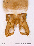  ( - ATNA14)  @12 [ ] CreativeCommons - Attribution Non-Commercial Share-Alike (2011) NTNU Museum of Natural History and Archaeology NTNU Museum of Natural History and Archaeology