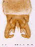  ( - ATNA427)  @12 [ ] CreativeCommons - Attribution Non-Commercial Share-Alike (2011) NTNU Museum of Natural History and Archaeology NTNU Museum of Natural History and Archaeology