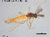  ( - ATNA548)  @11 [ ] CreativeCommons - Attribution Non-Commercial Share-Alike (2015) NTNU University Museum, Department of Natural History NTNU University Museum, Department of Natural History