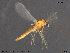  ( - ATNA554)  @11 [ ] CreativeCommons - Attribution Non-Commercial Share-Alike (2015) NTNU University Museum, Department of Natural History NTNU University Museum, Department of Natural History