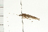  ( - 08-NSWHH-1402)  @13 [ ] CreativeCommons - Attribution (2009) Unspecified Centre for Biodiversity Genomics