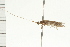  ( - 08-NSWHH-1403)  @13 [ ] CreativeCommons - Attribution (2009) Unspecified Centre for Biodiversity Genomics