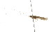  ( - 10AUCAD-023)  @13 [ ] CreativeCommons - Attribution (2010) CBG Photography Group Centre for Biodiversity Genomics