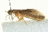  ( - BIOUG04419-H10)  @12 [ ] CreativeCommons - Attribution (2012) CBG Photography Group Centre for Biodiversity Genomics