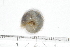  ( - MIC61101-004)  @12 [ ] Copyright (2013) Christian Moeseneder MIC