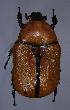 ( - MIC60733-001)  @11 [ ] CreativeCommons  Attribution (by) (2016) Christian Moeseneder MIC