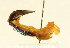  ( - MIC60971-001)  @11 [ ] CreativeCommons  Attribution (by) (2019) Christian Moeseneder AFBRC