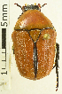  ( - MIC60971-001)  @11 [ ] CreativeCommons  Attribution (by) (2019) Christian Moeseneder AFBRC