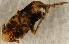  ( - ZMUO.078795)  @11 [ ] by-nc (2023) Marko Mutanen University of Oulu