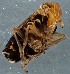  ( - ZMUO.078861)  @11 [ ] by-nc (2023) Marko Mutanen University of Oulu