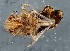  ( - ZMUO.078889)  @11 [ ] by-nc (2023) Marko Mutanen University of Oulu